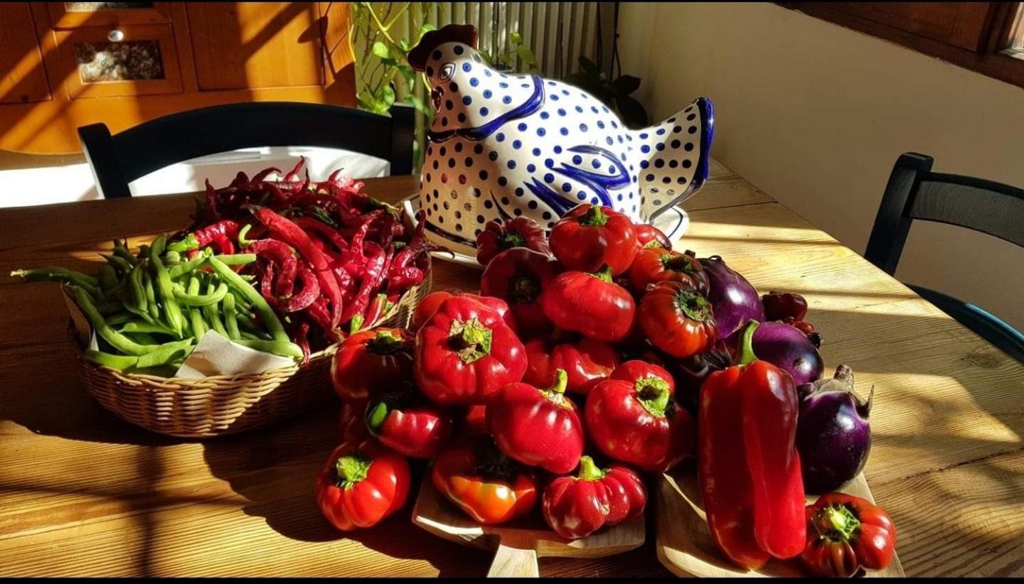 Il Giardino Di Frafa Leilighet Quartu SantʼElena Eksteriør bilde