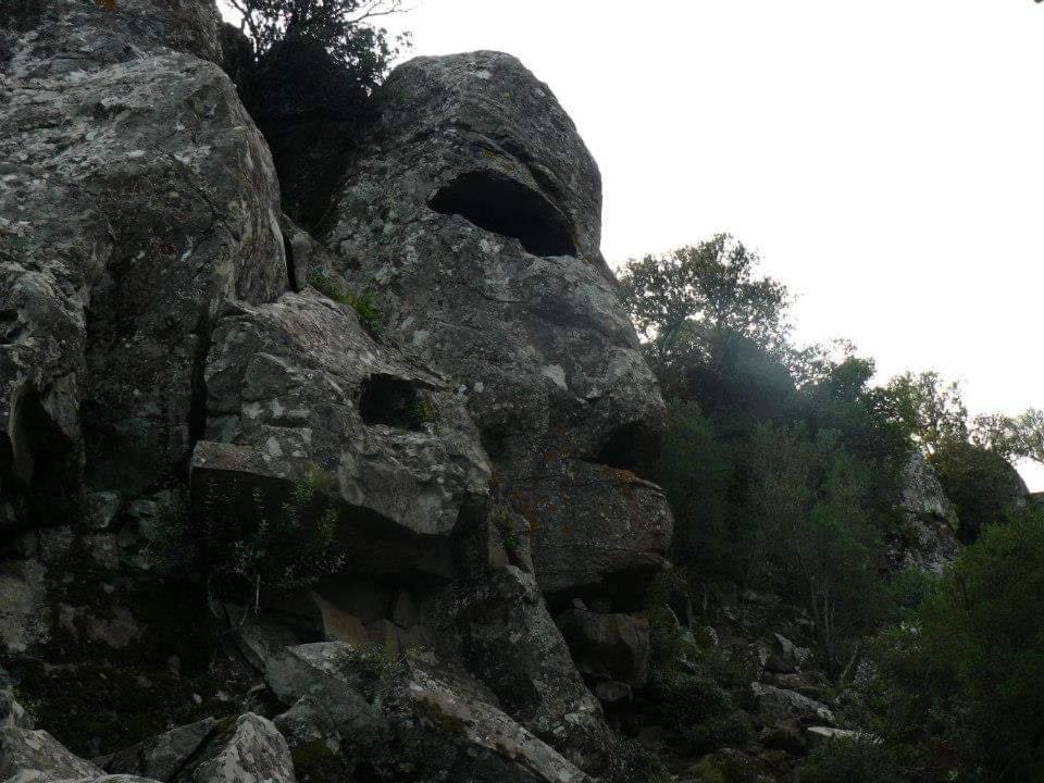 Il Giardino Di Frafa Leilighet Quartu SantʼElena Eksteriør bilde